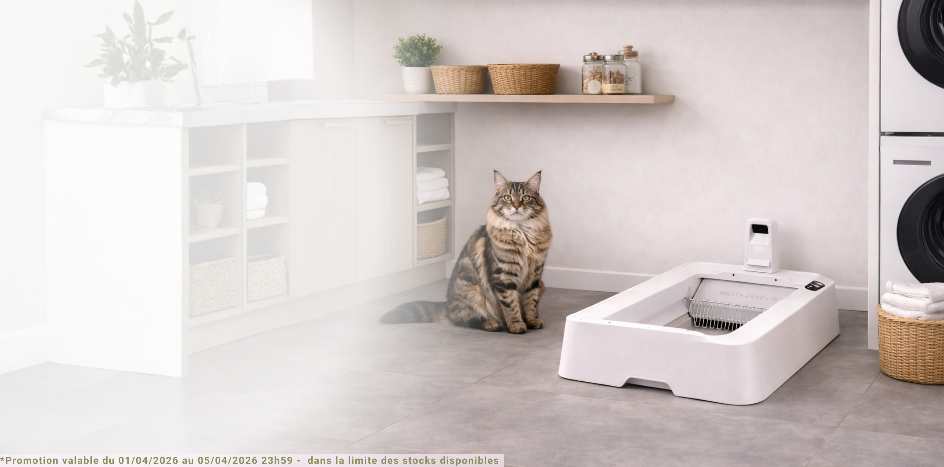 réduction-animalerie-litiere-chat